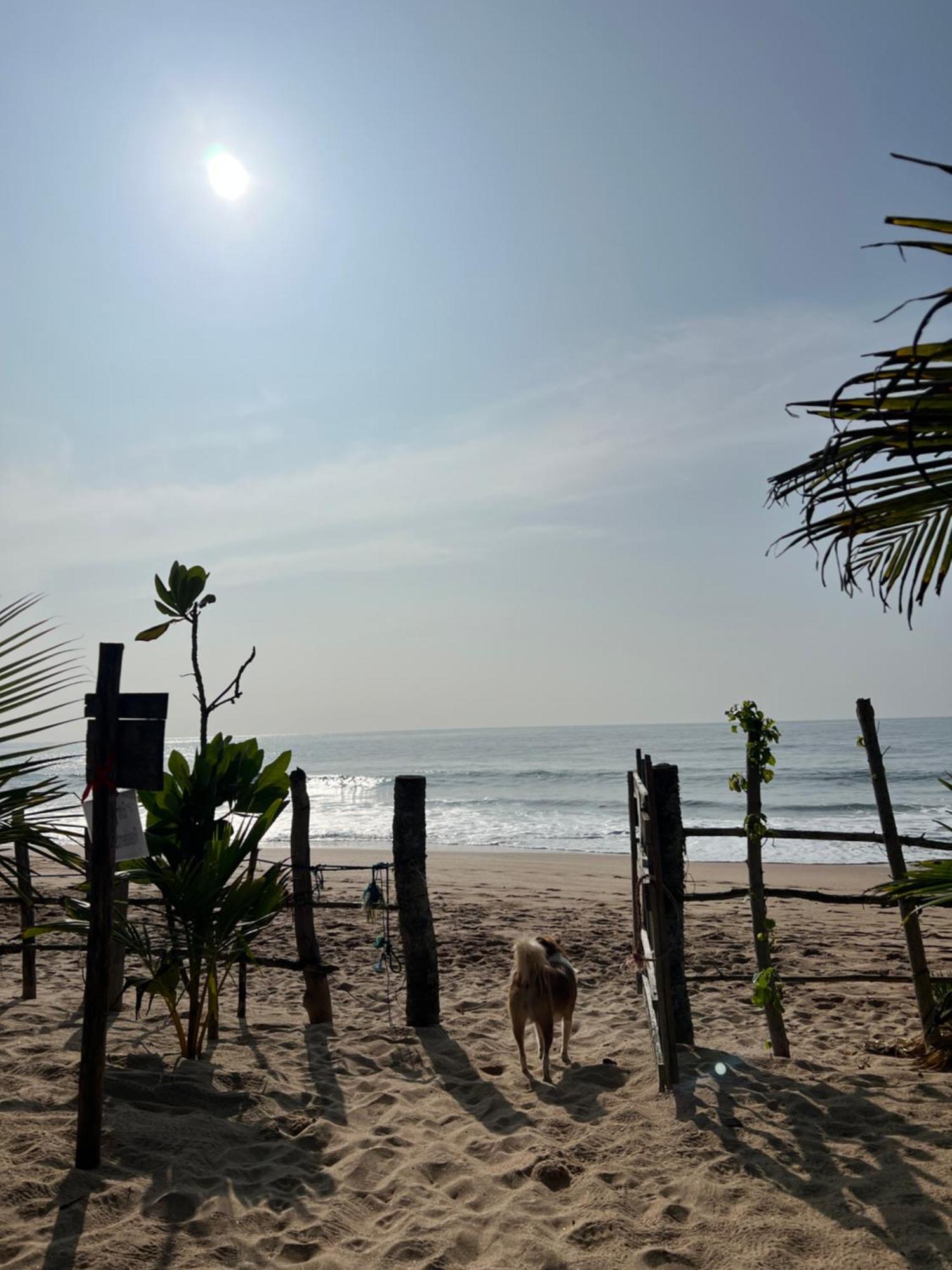Villasiri And Leon Beach Paradise Tangalle Exterior foto